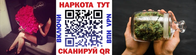 Где найти наркотики Гусев ГАШ  СК  Псилоцибиновые грибы  Марихуана  Мефедрон 